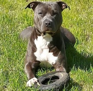 Meet your Posher, Donnie